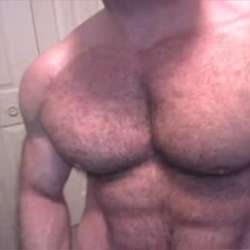 MUSCLEHUNK7's Chat & Dating Profile