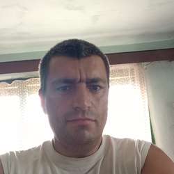 Pasiv38ani