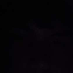 Tmmie123