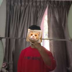 mimii123